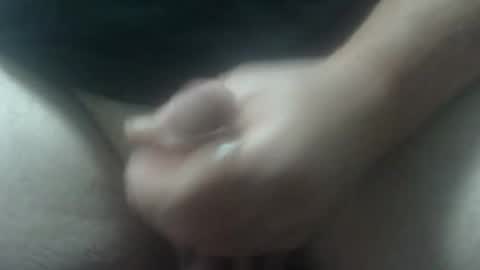 cocktoys online show from November 2, 7:30 am