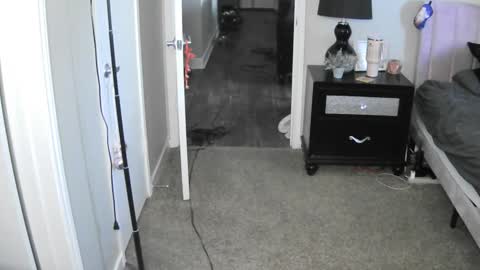 TheGoddessCodie online show from December 11, 4:41 pm