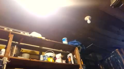 coffeemaker4 online show from March 5, 11:25 pm