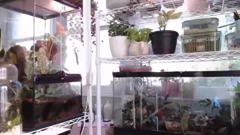 ANR Mommy online show from October 6, 4:36 pm