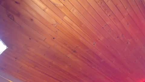 Coraline online show from January 18, 1:19 am