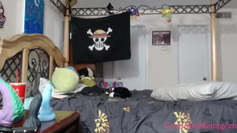 Amethyst Cox online show from January 17, 12:20 am