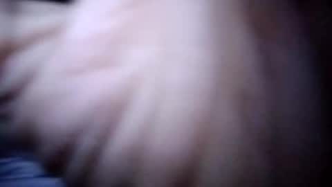 Snapshot of countryboy42225238 chatting on January 20, 8:19 am countryboy42225238 online show from January 20, 8:19 am