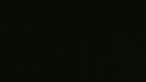 craigslistj online show from April 20, 1:14 pm