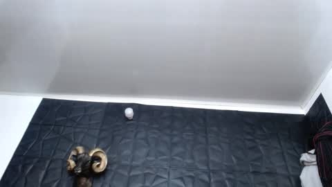 Hanna  online show from November 27, 7:16 am