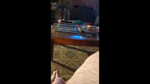 cubforotter online show from December 1, 12:14 pm