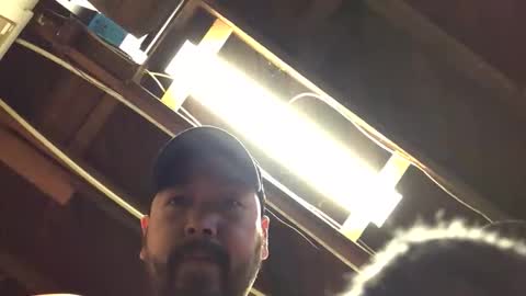 cubinheat online show from November 28, 8:05 pm