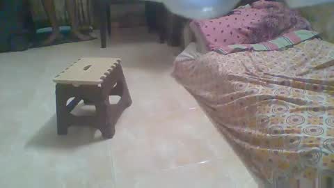 Noha online show from December 22, 3:30 pm