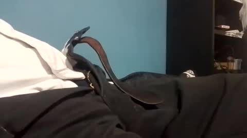 cumbian_chero online show from March 3, 7:26 am