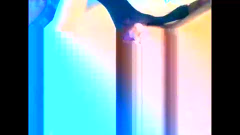 Snapshot of cuntgulper1286 chatting on December 25, 8:39 pm cuntgulper1286 online show from December 25, 8:39 pm