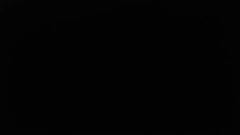 DDick online show from November 9, 4:16 am