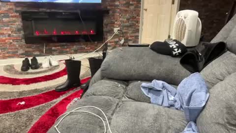 DaedotFrankyLoko online show from June 1, 6:42 pm