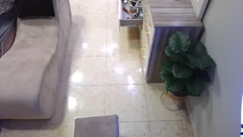 Deffa online show from February 16, 12:54 pm