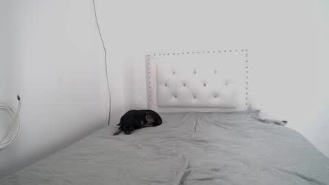 Dakota and Aron online show from December 3, 3:13 pm