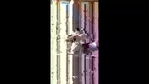 Damon6589 online show from April 21, 7:59 am