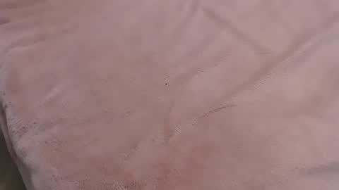  Danna Lovense is activeThere are legends that in this room all your wishes can come true  Private is Open online show from January 11, 9:57 pm