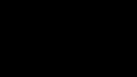 DanAmp online show from November 24, 9:30 am