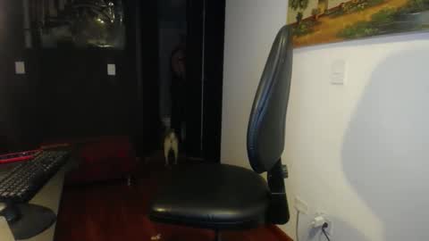 danbury online show from November 25, 12:53 am