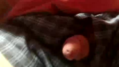 dancewhenyoucan9 online show from April 2, 11:44 pm