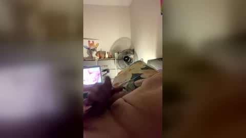 dangros438435 online show from March 31, 2:50 pm