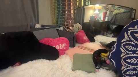 Dani Dragon online show from February 5, 8:32 am