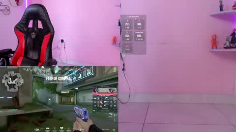 Dani online show from March 3, 4:15 pm