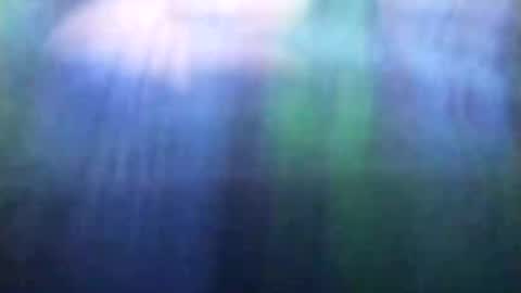 dannowisc online show from May 24, 11:17 am