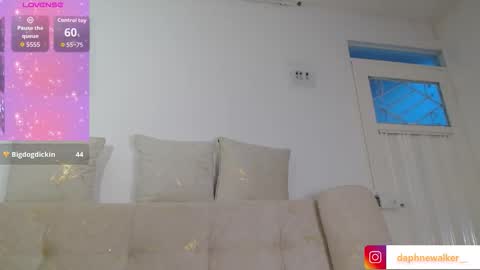 Daphne online show from October 8, 11:05 am