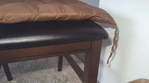 dapppper online show from May 19, 9:38 am