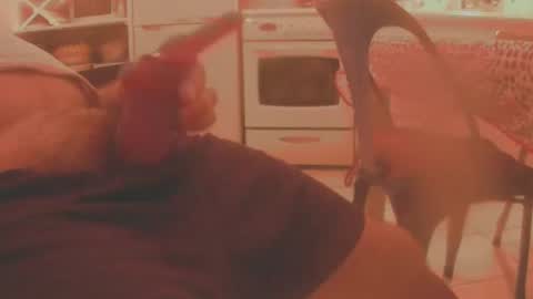 dardardar34 online show from November 15, 11:06 pm