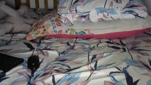 dark_rose3 online show from October 1, 4:22 am