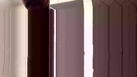 davedowning042075 online show from February 5, 7:07 am