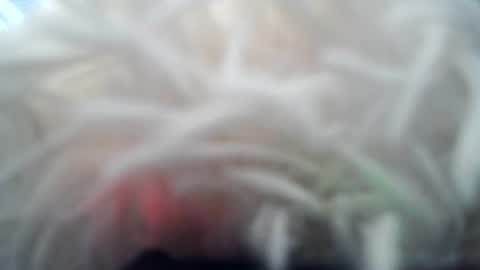 daverz3 online show from March 4, 8:44 am