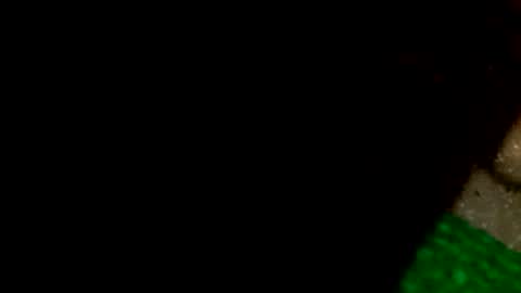 david1982yesyes online show from April 16, 12:38 pm