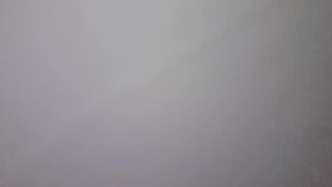 david224222 online show from May 1, 8:58 pm