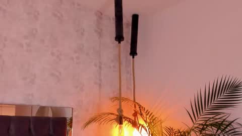 David online show from November 11, 1:13 pm