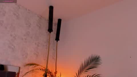 David online show from November 5, 12:07 pm