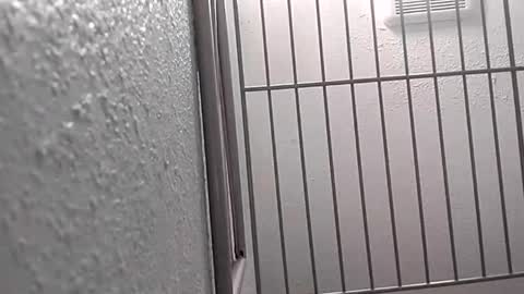 david_stone1969 online show from January 25, 8:10 pm