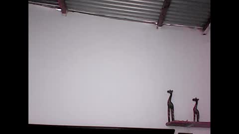 davidstuart online show from January 20, 8:50 pm