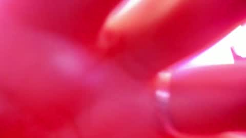 DAWA ANGELS online show from October 29, 3:19 am