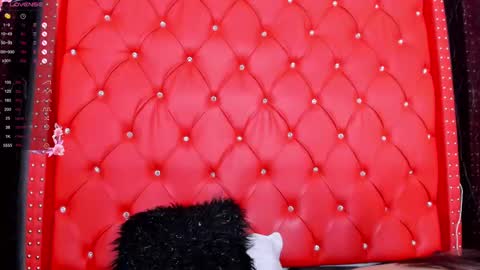 DAWA ANGELS online show from February 11, 11:42 am