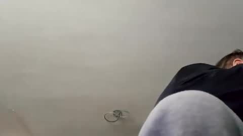 Dazzill online show from January 26, 12:54 pm