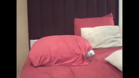 ddboobsnipples online show from February 20, 6:48 am