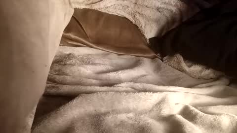 ddick0303 online show from November 28, 8:32 am