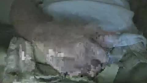 decoyx5o5 online show from November 15, 7:26 pm