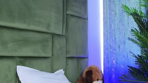 deniseblu online show from September 24, 5:25 am