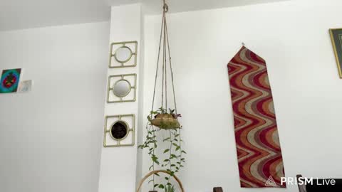 Desidias online show from November 23, 6:28 pm