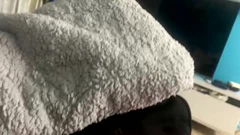 destrosandotelculo online show from November 3, 1:17 am