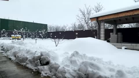 Tina online show from February 18, 8:03 am