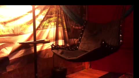 dewittew online show from December 28, 1:06 pm